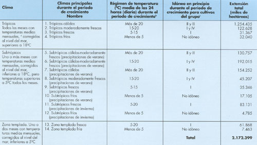 cuadro3.jpg (43314 bytes)