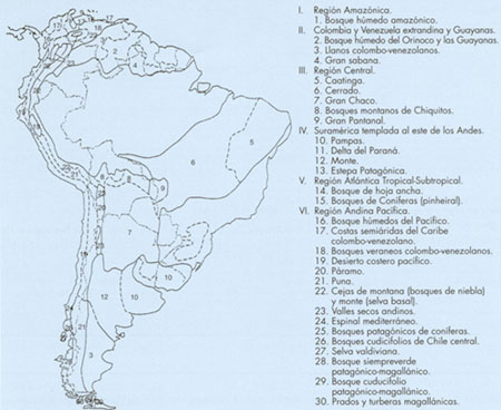 mapa7.jpg (46231 bytes)