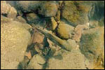 norte36.jpg